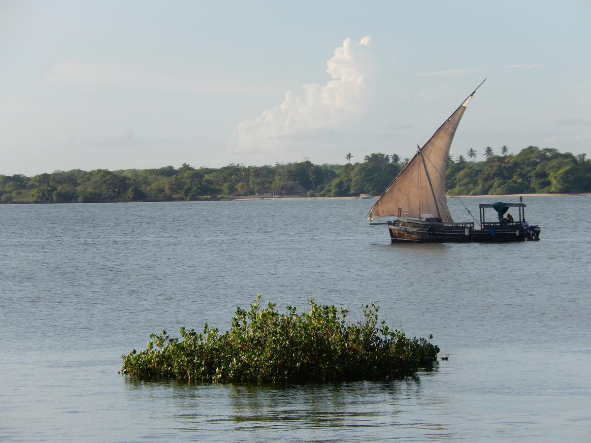 Blue Monkey Beach Cottages Shimoni エクステリア 写真