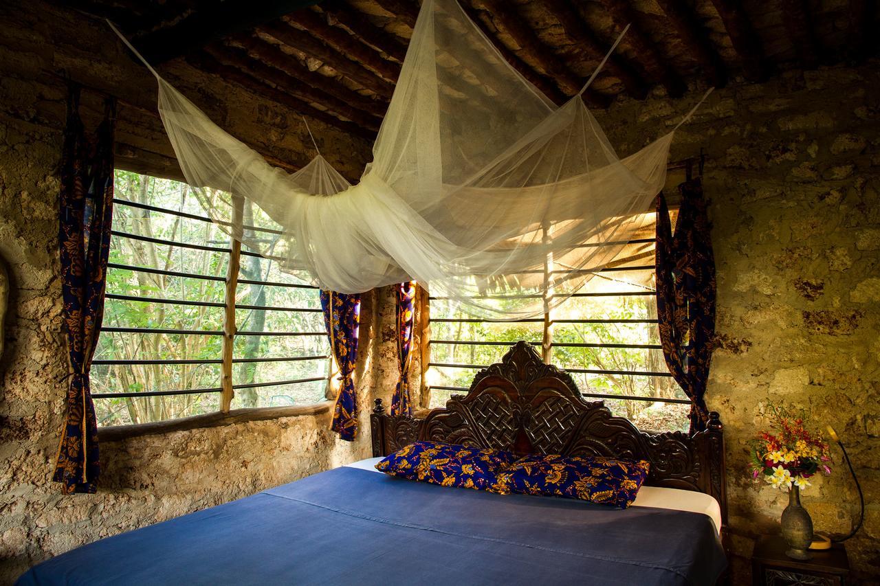 Blue Monkey Beach Cottages Shimoni エクステリア 写真