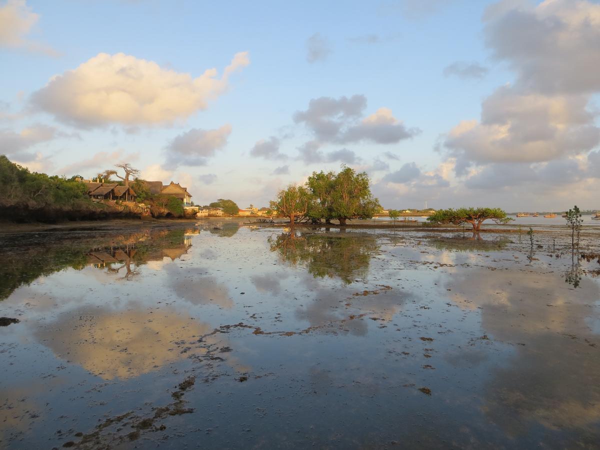 Blue Monkey Beach Cottages Shimoni エクステリア 写真