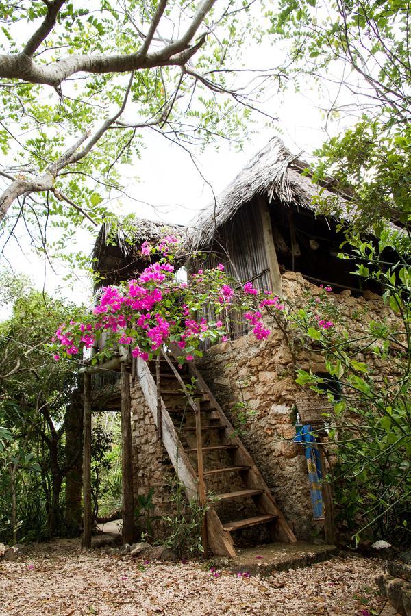 Blue Monkey Beach Cottages Shimoni エクステリア 写真