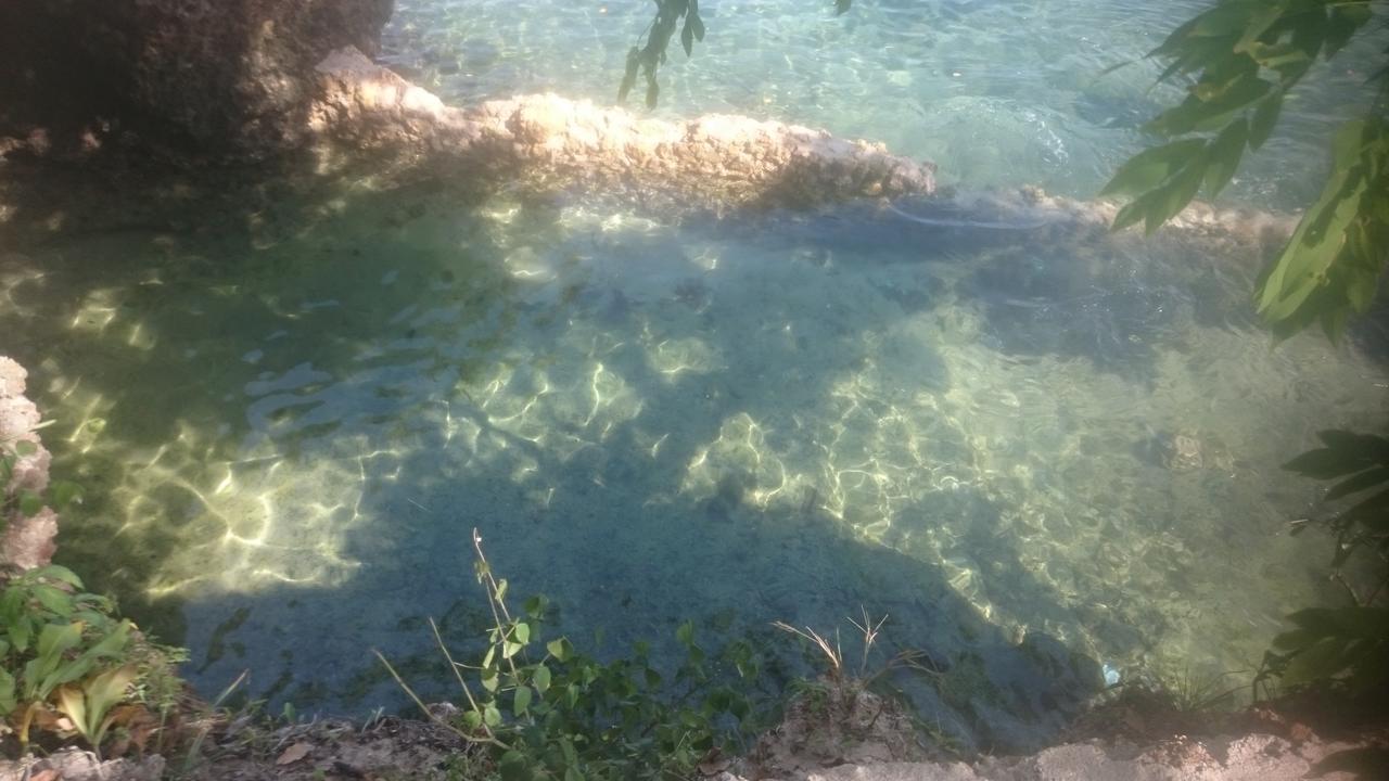 Blue Monkey Beach Cottages Shimoni エクステリア 写真